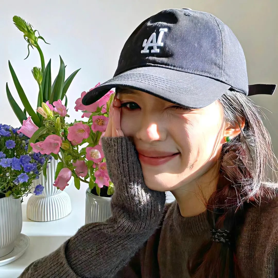 虎尾兰之梦